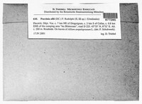 Puccinia allii image